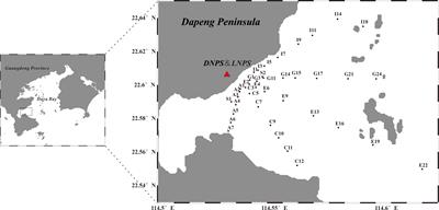 Short-term responses of phytoplankton size-fractionated structure and photosynthetic physiology to thermal effluent in a subtropical coastal bay